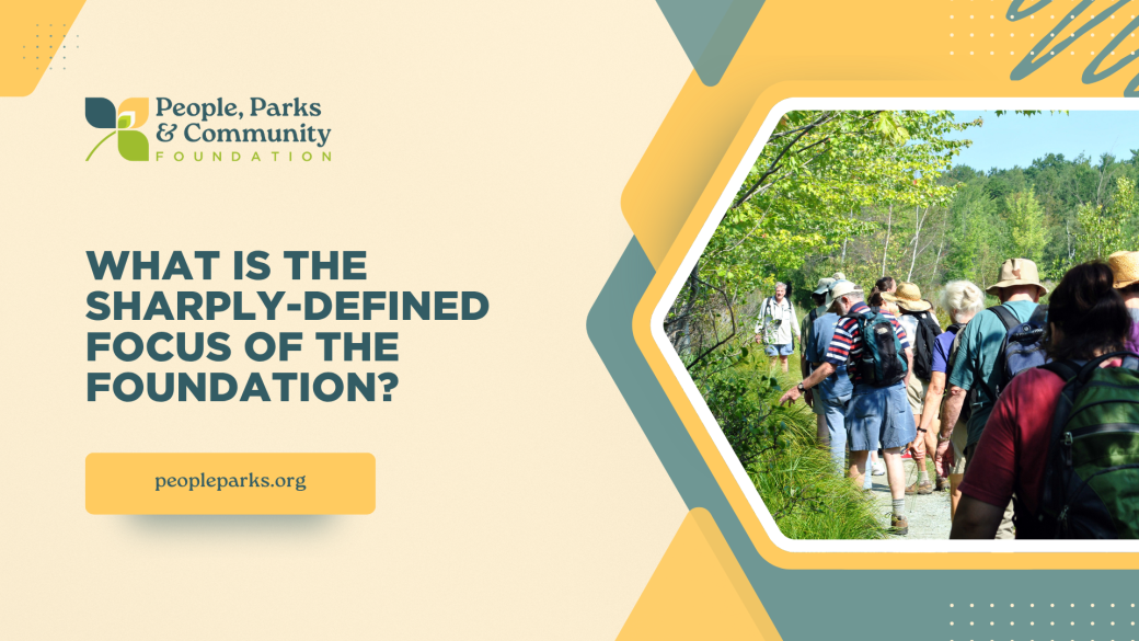 What is the sharply-defined focus of the Foundation?